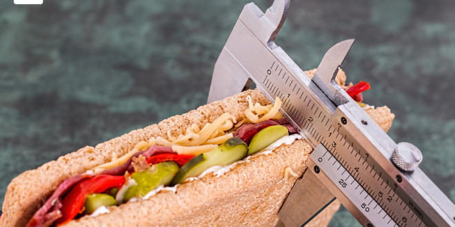 Principales diferencias entre la proteína animal y la proteína vegetal