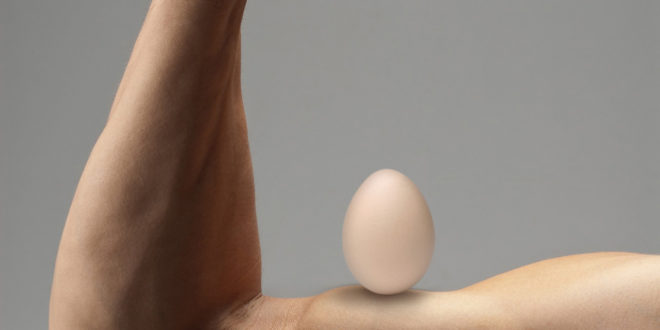 Verità e miti sulle uova-zumub