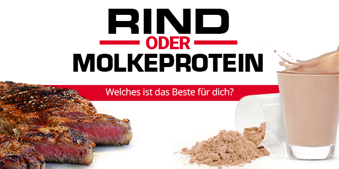 Rind oder Molkeprotein