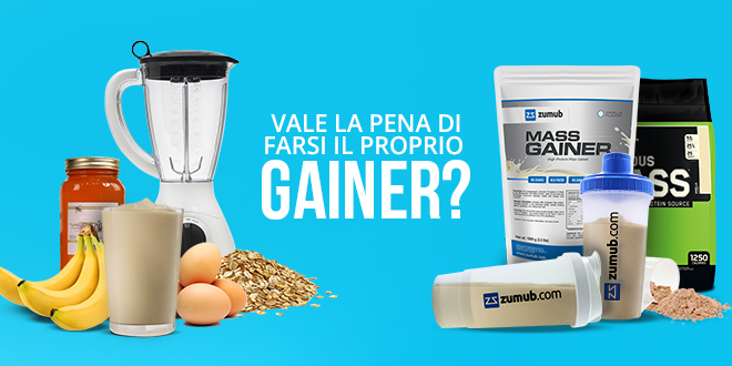 gainer-zumub