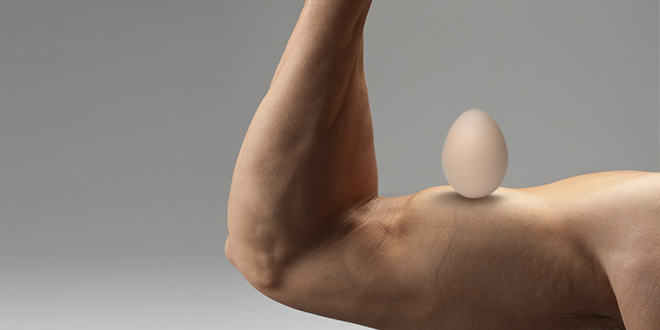 Verdades y Mitos sobre los Huevos-zumub