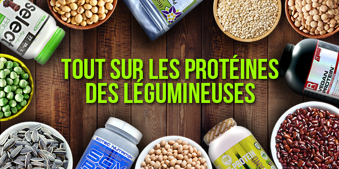Sources de protéines issues des légumineuses-zumub
