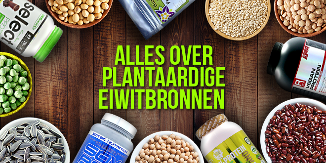 Plantaardige eiwitbronnen-zumub