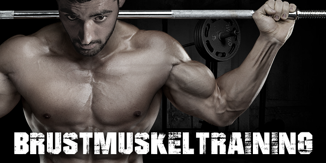 Brustmuskeltraining-zumub