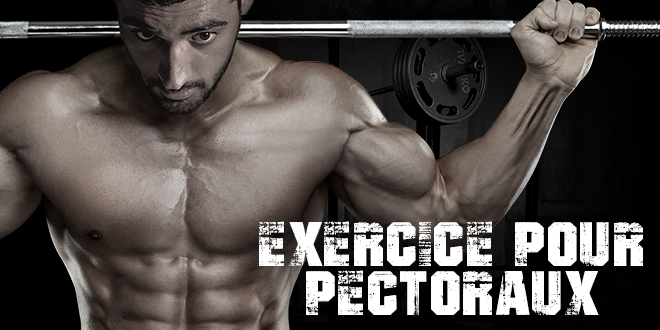 exercice pour pectoraux-zumub