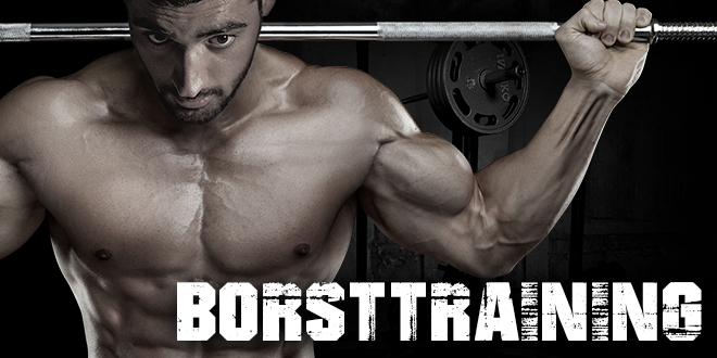 Borsttraining