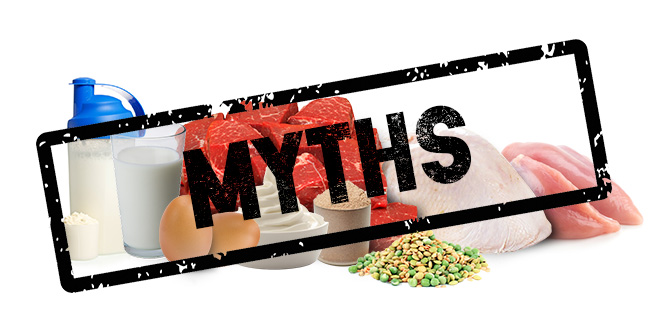 Myths about protein -zumub