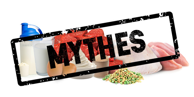 Mythes sur les protéines - zumub