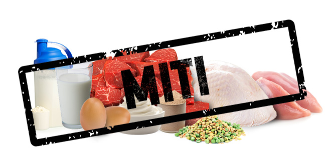 Miti sulle proteine - zumub