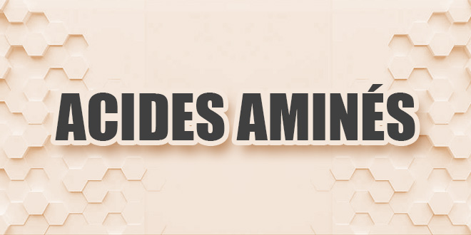 acides aminés