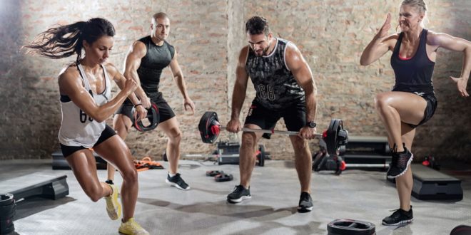 cardio vs weightlifting